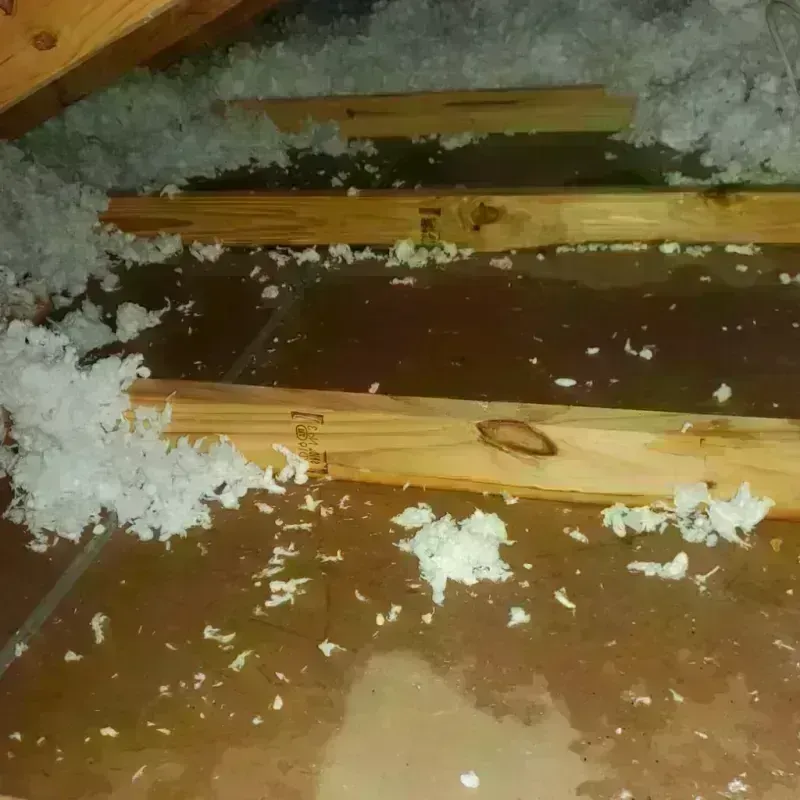 Attic Water Damage in Southside Place, TX